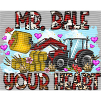 Valentine's Day-QRJ  7578